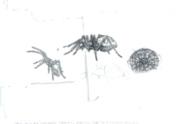 "Монстр" паук (нарисовал SaNTa)